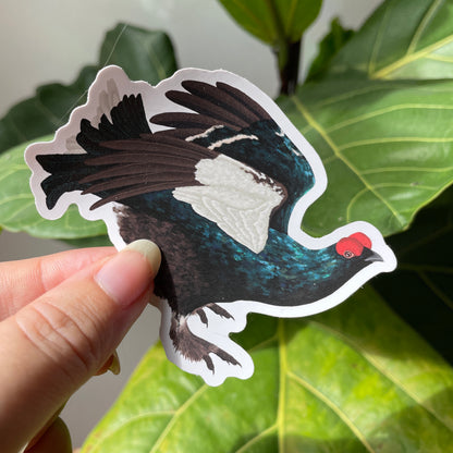 Black Grouse vinyl sticker, Birding Gift, Bird Watcher Gift, game bird, Laptop Stickers, Nature Sticker, Diary crafting, Natural History