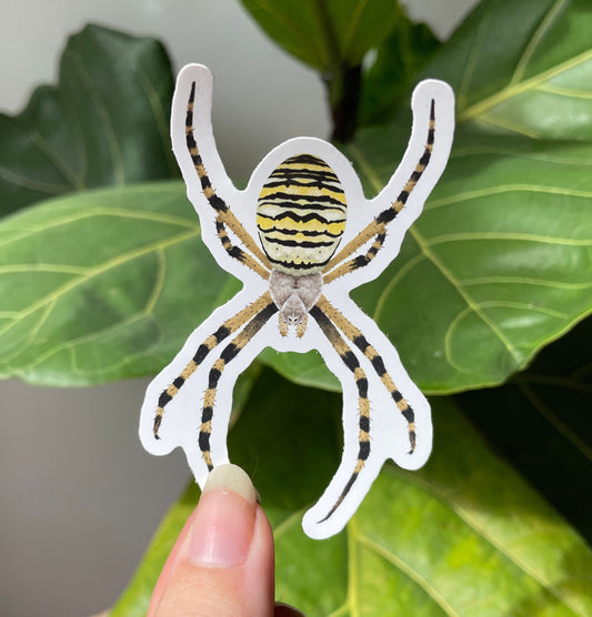 Wasp Spider Vinyl Sticker