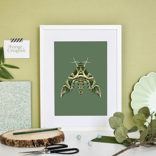 Moth Illustration, Oleander hawk-moth, Nature print, Entomology prints, Modern nature, Minimalist green, bugs and insects, cottagecore