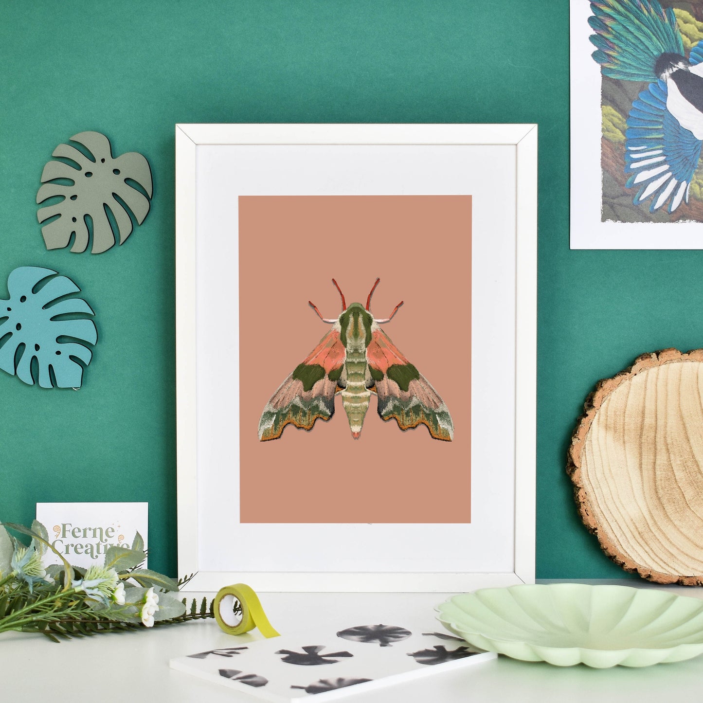 Moth illustration, Lime Hawk Moths Print, Pink wall Art, Insect Art, Entomology gift, Muted Colors, nature interior, British wildlife