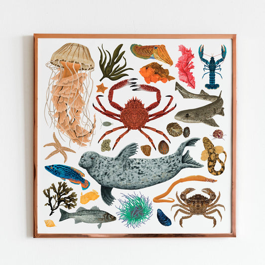 Marine Life print, Natural history, Marine biology, Coastal wall art, Under The Sea, Sea creature, Scuba Diver Gift, Crabs art, Jellyfish