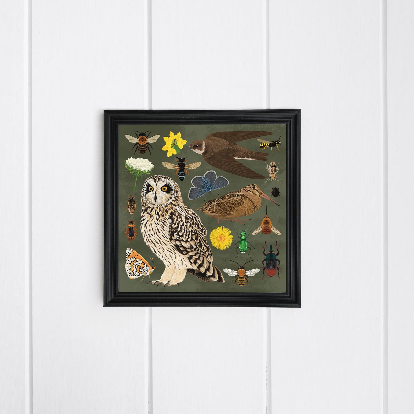 Maritime Soft Cliff Wildlife Print