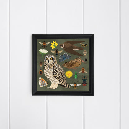 Maritime Soft Cliff Wildlife Print