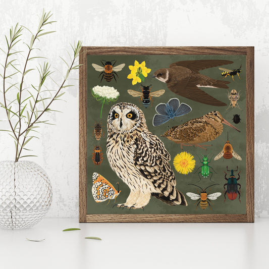 Maritime Soft Cliff Wildlife Print