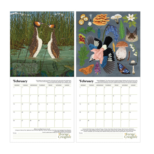 2024 British Wildlife Calendar Bundle