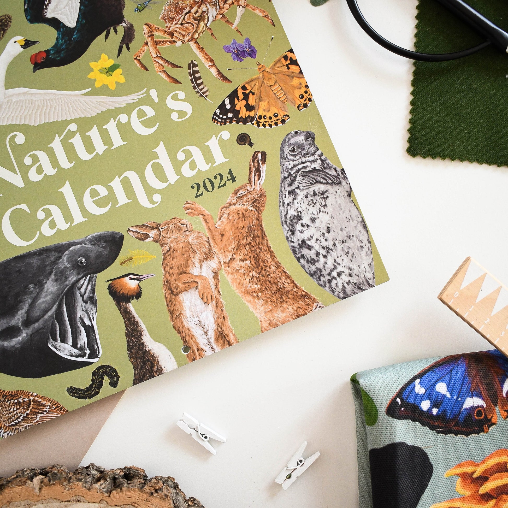 2024 British Wildlife Wall Calendar, Home Organisation, Perfect Planner for Nature Lovers, Unique Eco-friendly Gift, Wildlife Lovers gift