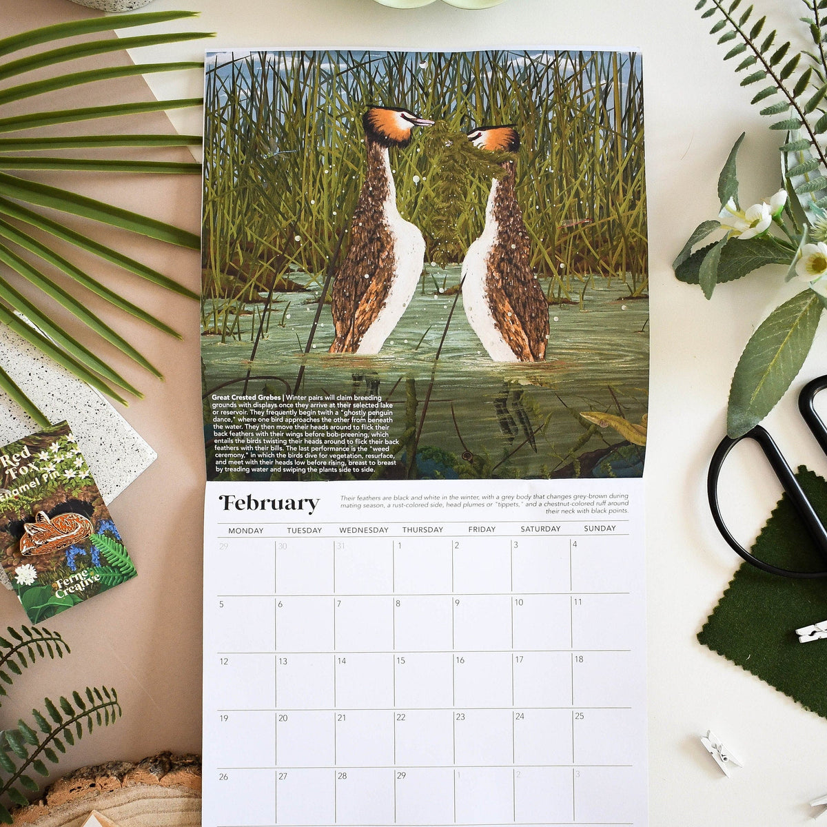 2024 British Wildlife Wall Calendar, Home Organisation, Perfect Planner for Nature Lovers, Unique Eco-friendly Gift, Wildlife Lovers gift