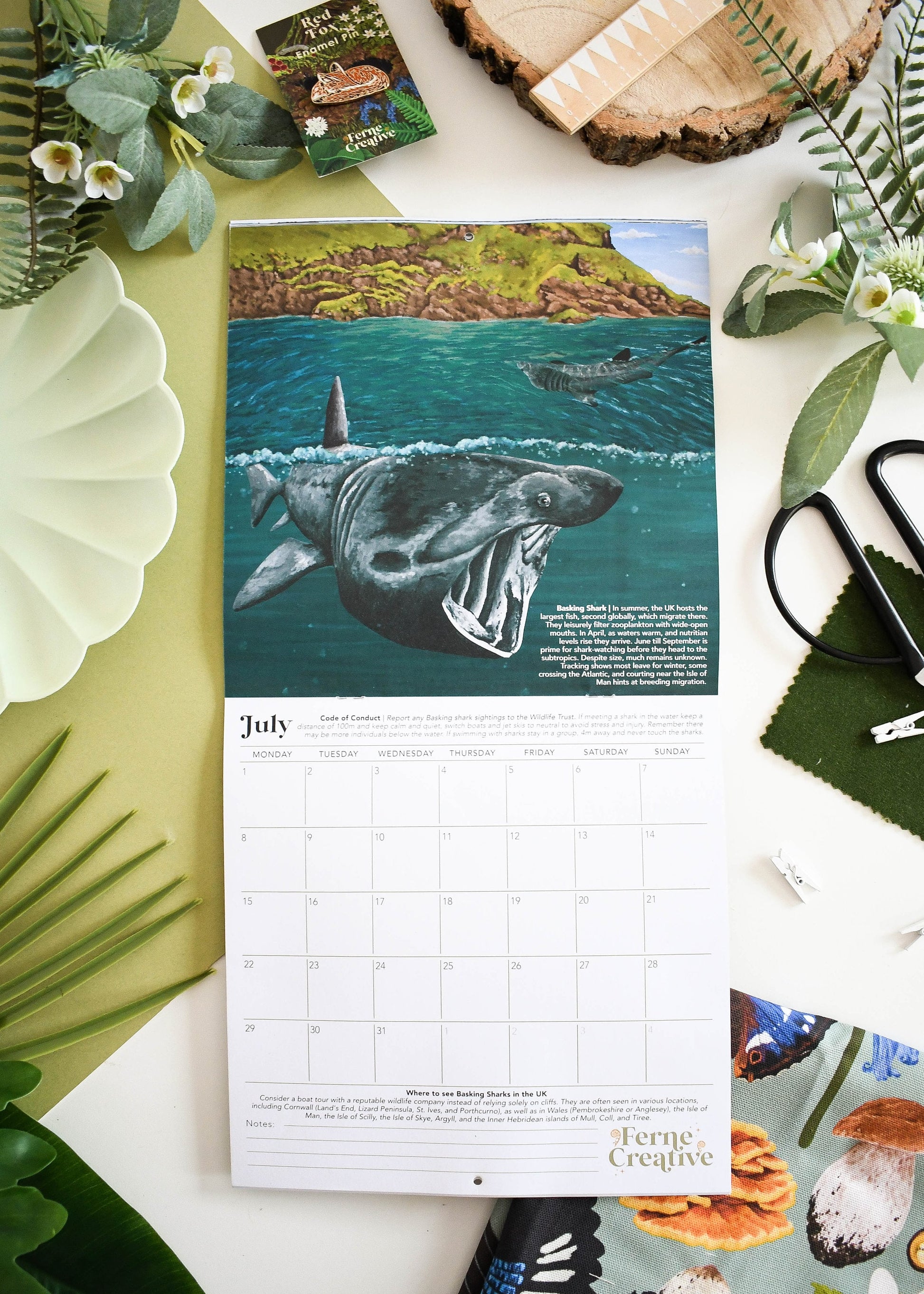 2024 British Wildlife Wall Calendar, Home Organisation, Perfect Planner for Nature Lovers, Unique Eco-friendly Gift, Wildlife Lovers gift