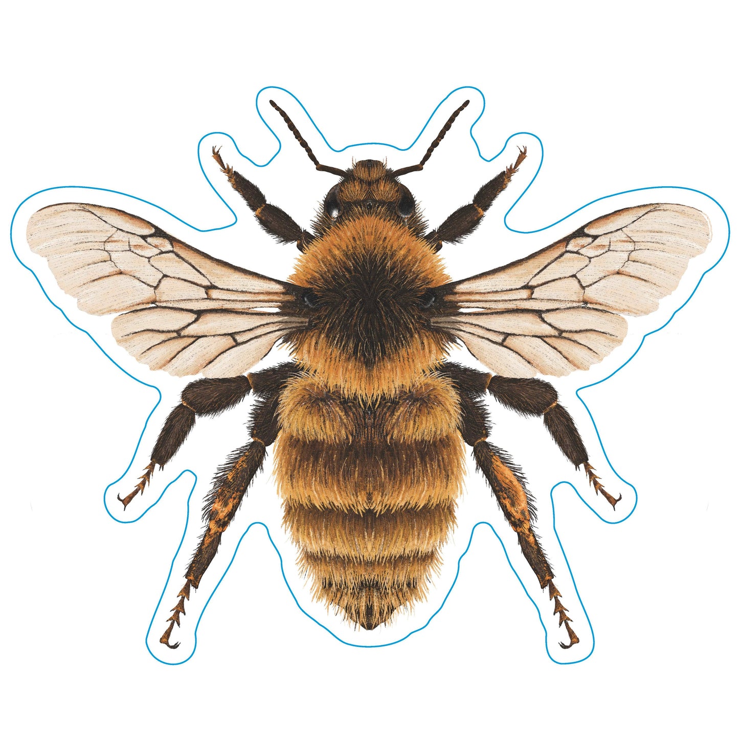 Rare Bumblebee Vinyl Sticker - Realistic Great Yellow Illustration, Durable Decal for Nature Lovers, Perfect Beekeeper Gift, Gardener Gift